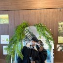 월정스티치
