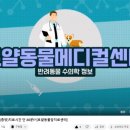 로얄동물메디컬센터 본원 이미지