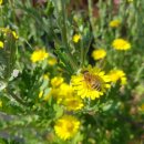 (주)세농 이미지
