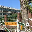 태양구이구이 이미지