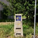 삐노(PINO) 이미지