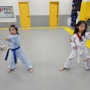 MTM영웅태권도장 이미지