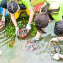 유포체험마을 이미지