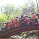 춘천YWCA어린이집 이미지