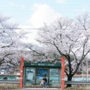 투썸플레이스왜관매원리점 이미지