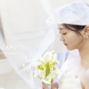 [W-20] 전주 씨앤엘 / 본식후기 / 찐 내돈내산추천