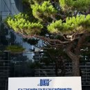 미소플란트치과병원 | 세종 꽃집 소이화 | 단국대학교 치과병원 원데이클래스 외부 보조출강 후기 (테라리움)