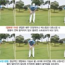 플라잉골프 이미지