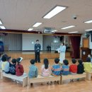 돌핀수영 이미지
