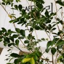 율리휴양로 이미지