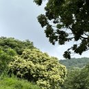 희재목장 이미지