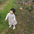 태송농장 이미지