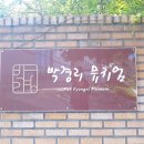 살구라는 이름의 고양이