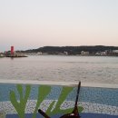 호돌이초장집 이미지