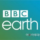 에이엠앤코 아시아투데이