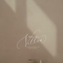 [w] 42. 스튜디오 | 부겐빌리아 촬영 후기- 컨페티 씬📷