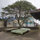 누룽지게스트하우스 이미지