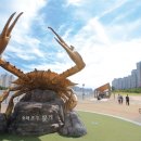 포구로 이미지
