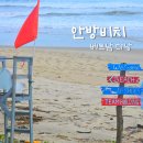 바다 그리고 | 다낭 안방비치 호텔과 바다수영 그리고 폐허 후기