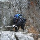 042-2 Daum카페