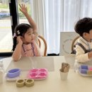 비노솝