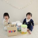 솔솔가축인공수정소 | 돌 지나도 먹일 수 있는 분유! 영양가득 HiPP 콤비오틱 유기농 3단계 더뉴