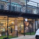 인투캣츠 이미지