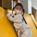 큰뿌리태권도 이미지