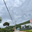 아틀리독 이미지