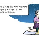 뱃살도둑 이미지