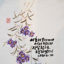 보시기 이미지