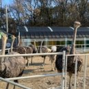 태연2농장 이미지