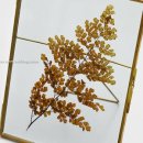 압화&보존화공예 이미지