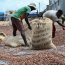 Chronique - Matières premières : « Le vent tourne sur les marchés : coup su 이미지