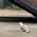 위례성로 이미지