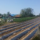 강화읍-18 이미지