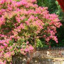 덕천서원화장실 이미지