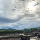 희야목장 이미지