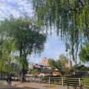 수원-0613 이미지