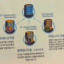 바디카클리닉