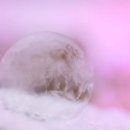 남한산성문화제 이미지