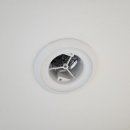 달맞이유림노르웨이숲 이미지