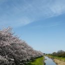 연동 관광안내소 이미지