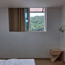 지리산자연펜션 | 지리산펜션 지리산나무처럼에서 자연을 만끽한 가족여행 후기