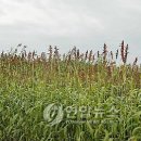 에너지원 이미지