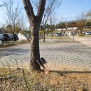 A18 | 화성 향남 오토캠핑장 A18 사이트 이용후기