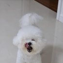 김수영 동물병원 이미지