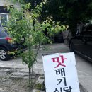 맛배기식당