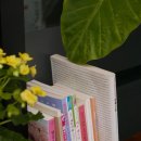 왕개상점 이미지