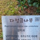 돈내코마을회관 이미지